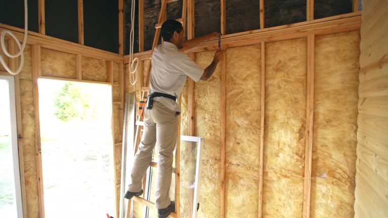 Best Wall Insulation Installation  in Fremont, MI